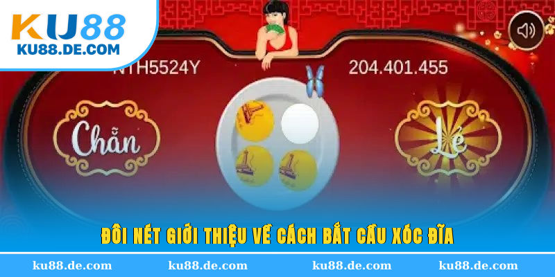 Đôi nét giới thiệu về cách bắt cầu xóc đĩa