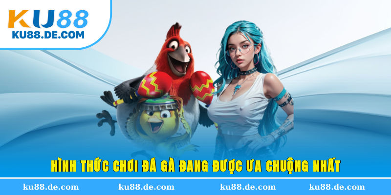 Hình thức chơi đá gà đang được ưa chuộng nhất