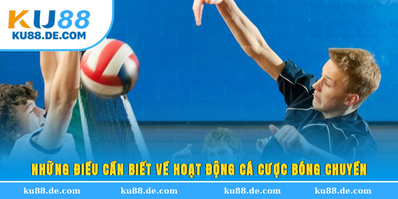 Những điều cần biết về hoạt động cá cược bóng chuyền