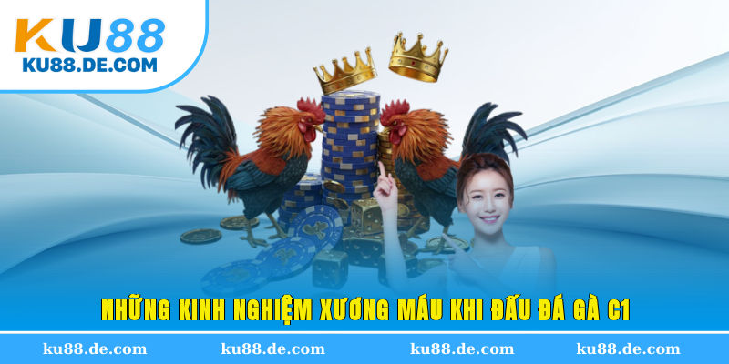 Những kinh nghiệm xương máu khi đấu đá gà C1